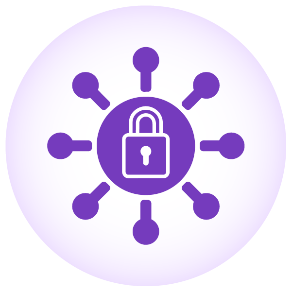 Security and Networking Icon